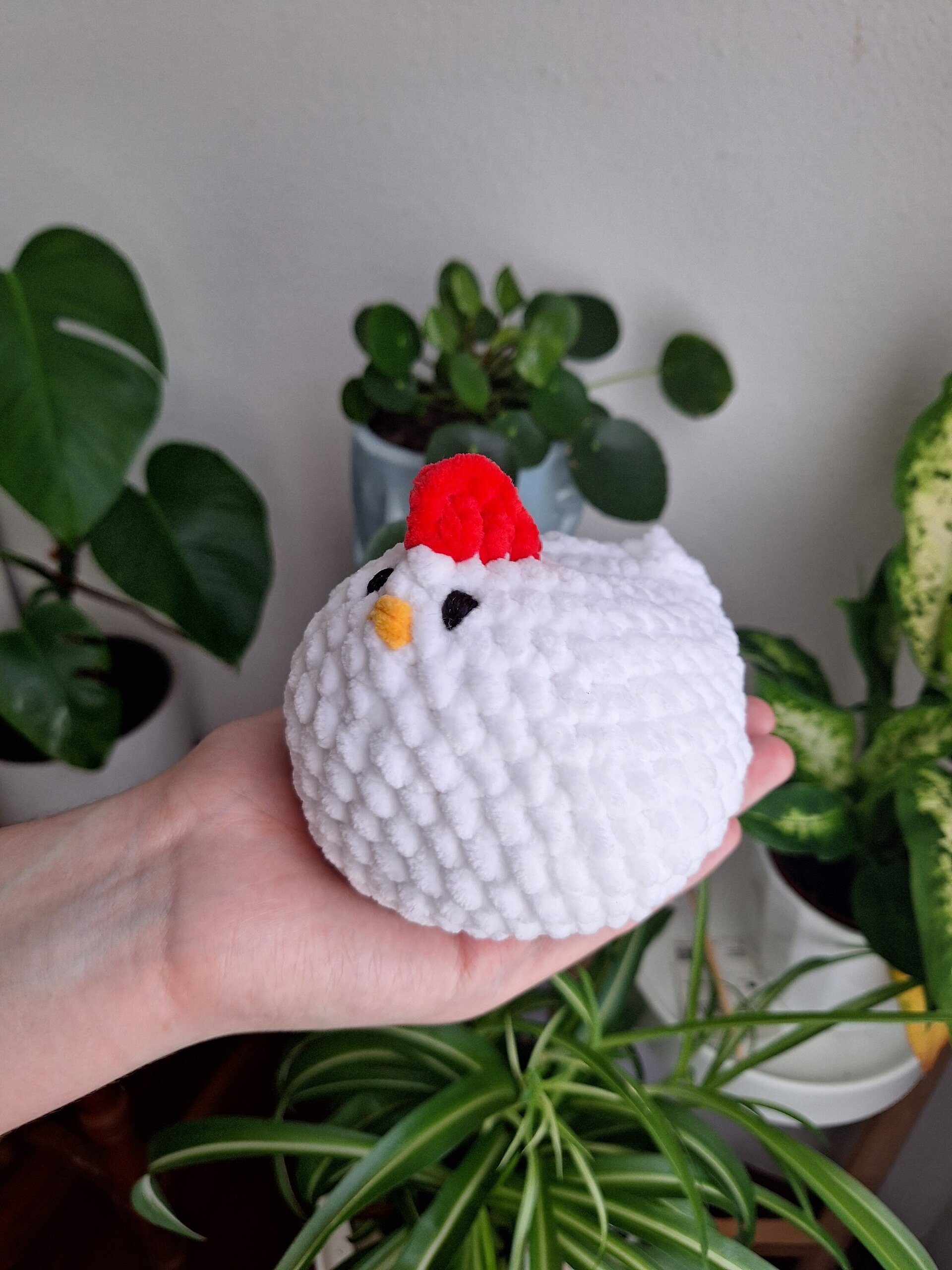 Pollo - 3