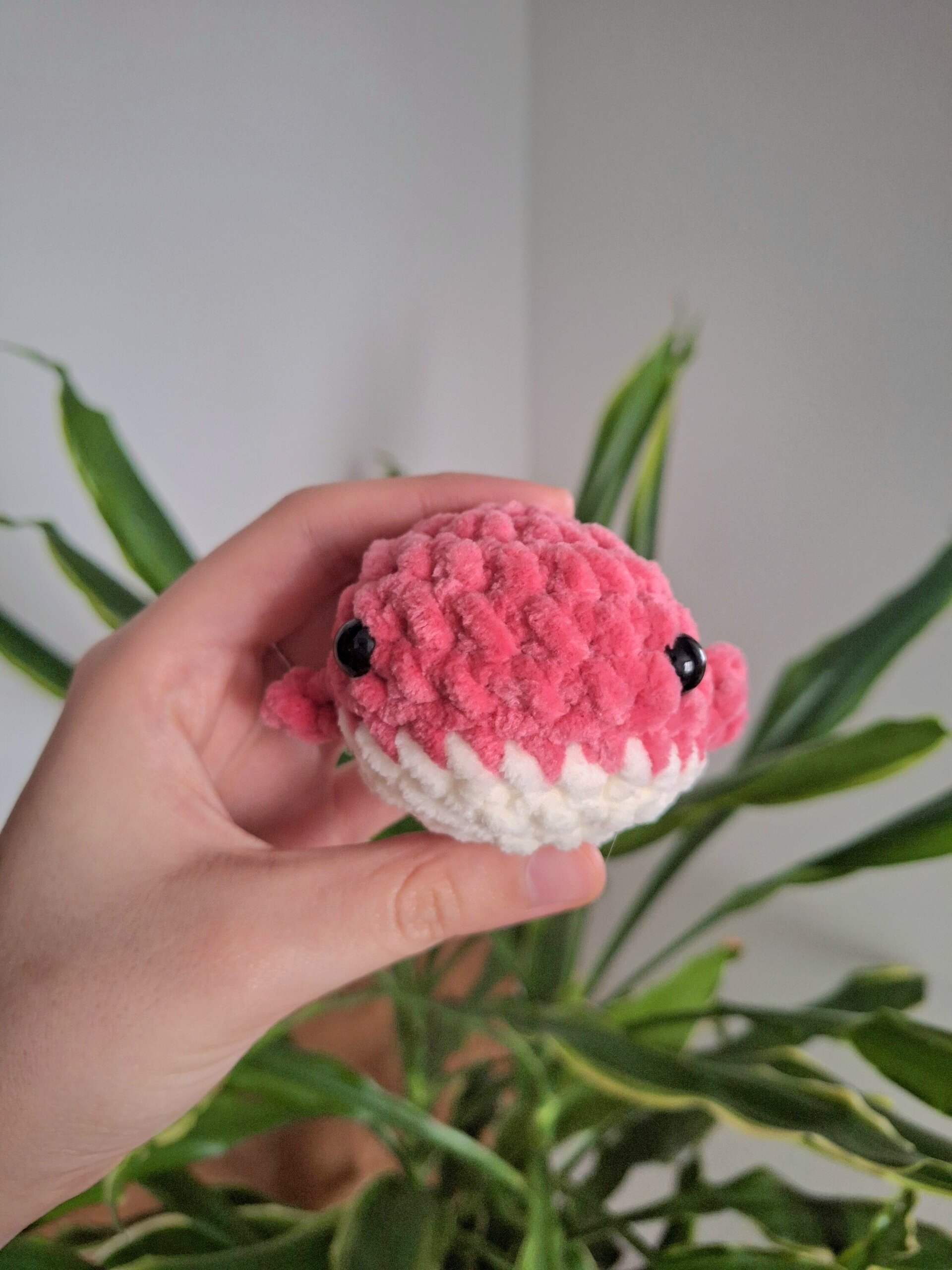 Ballena pequeña - 2