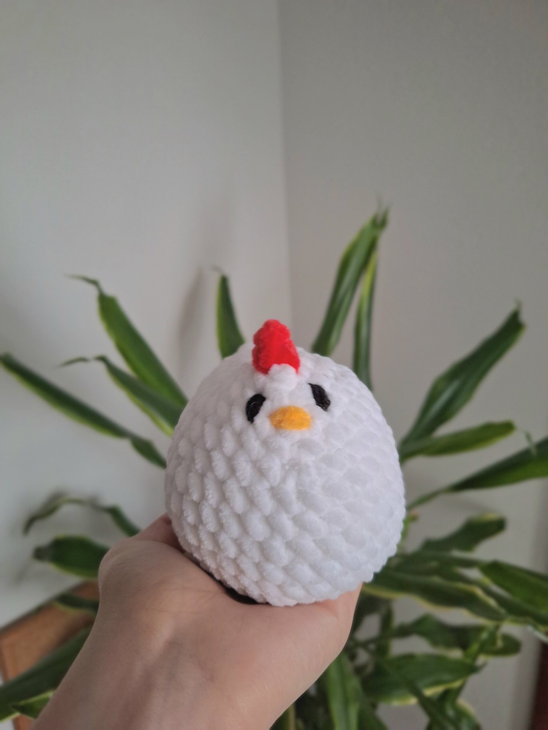 Pollo - 3