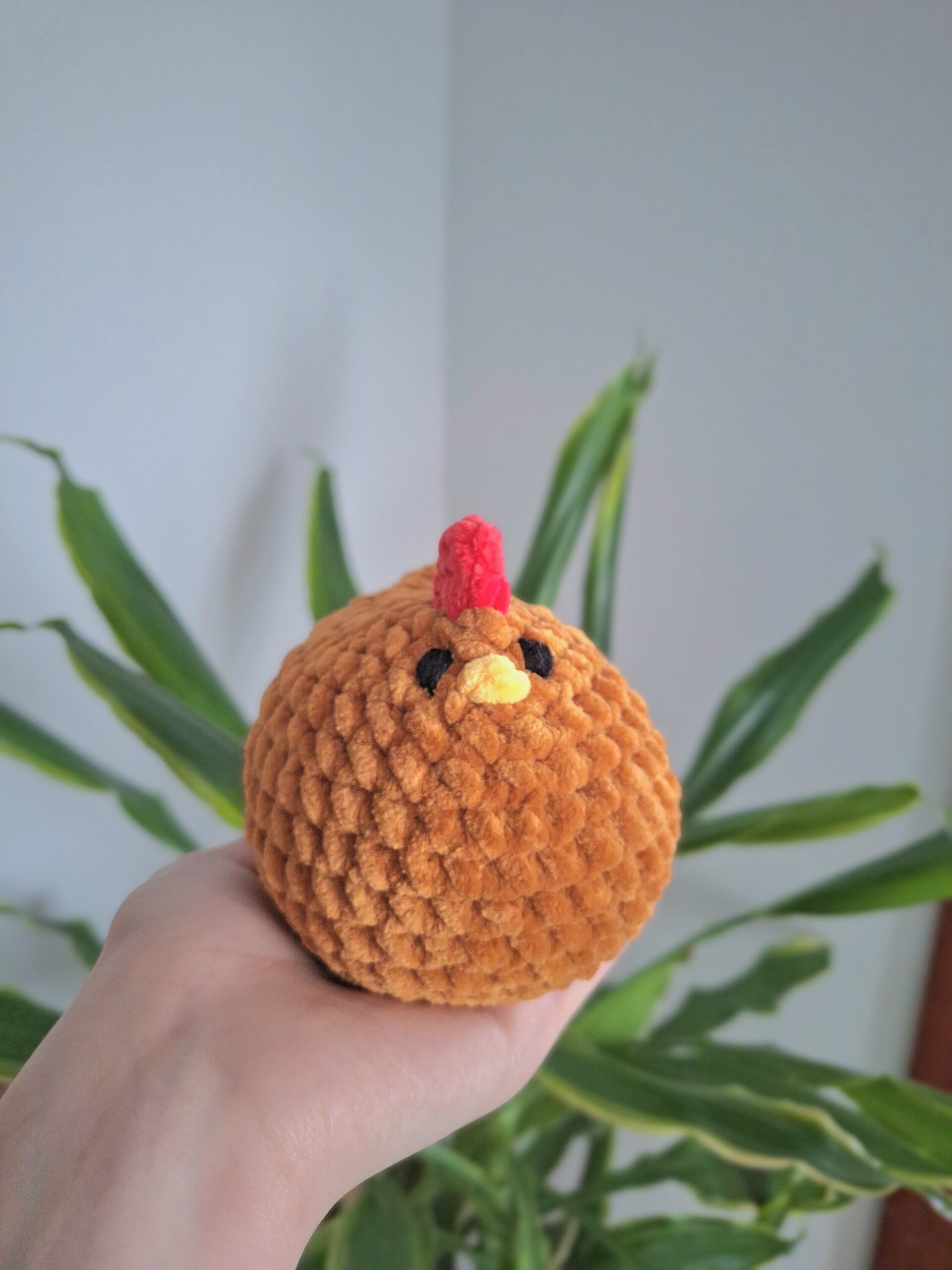 Pollo - 2