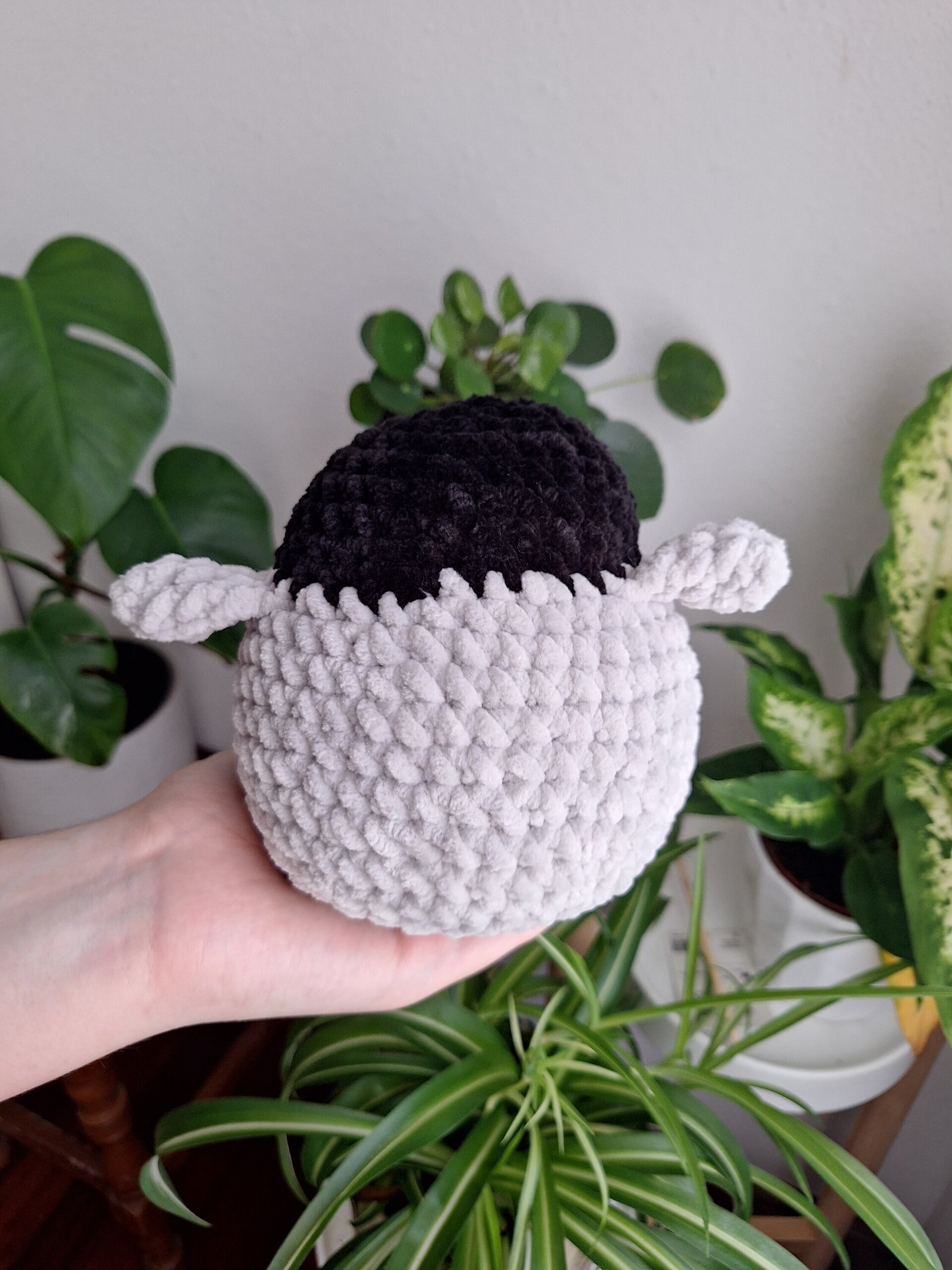 Pingüino - 4