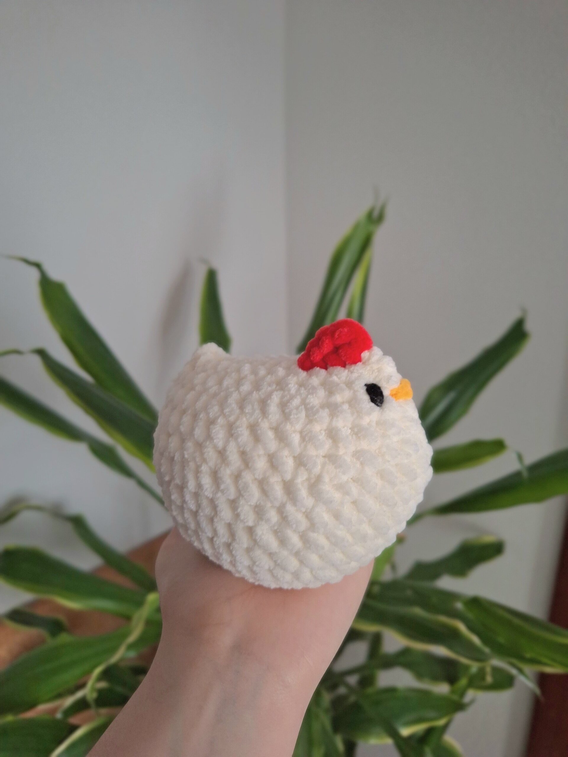 Pollo - 5