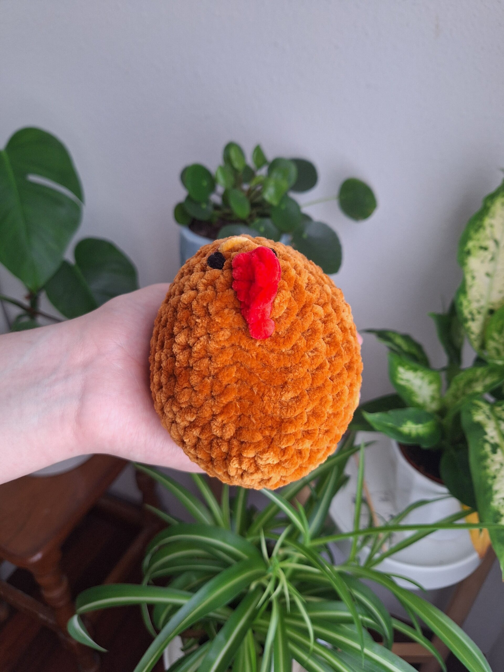 Pollo - 6