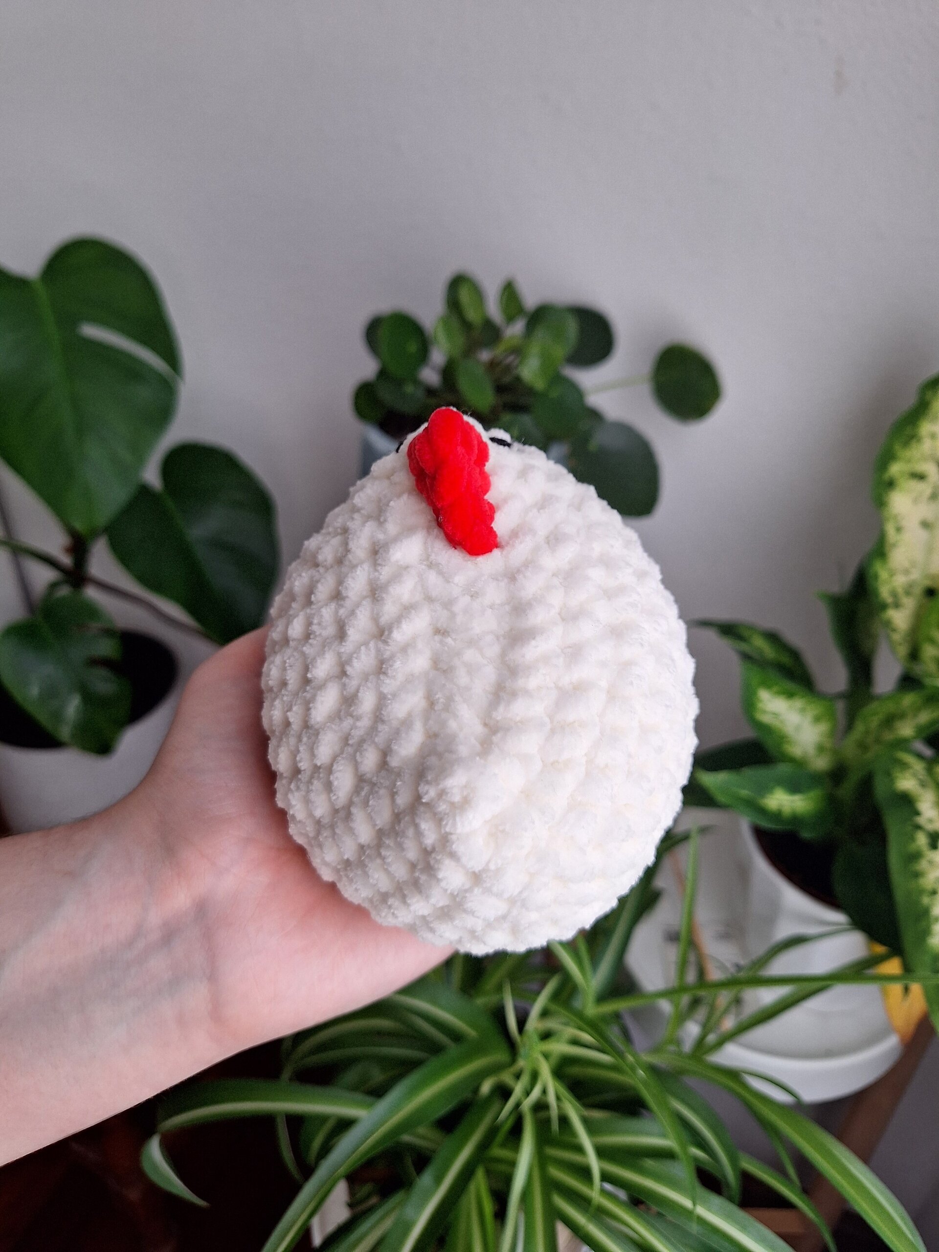 Pollo - 2