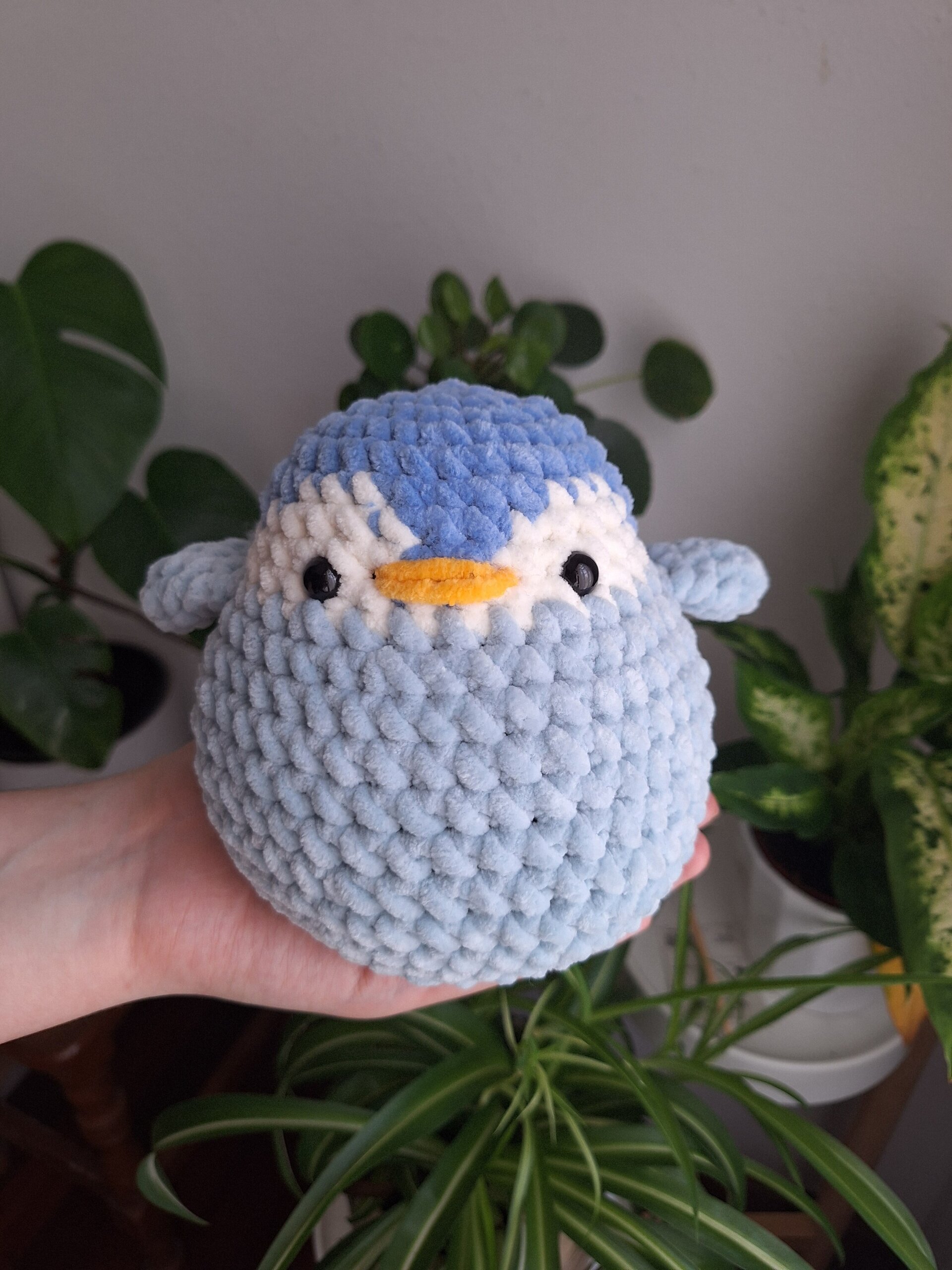 Pingüino - 5